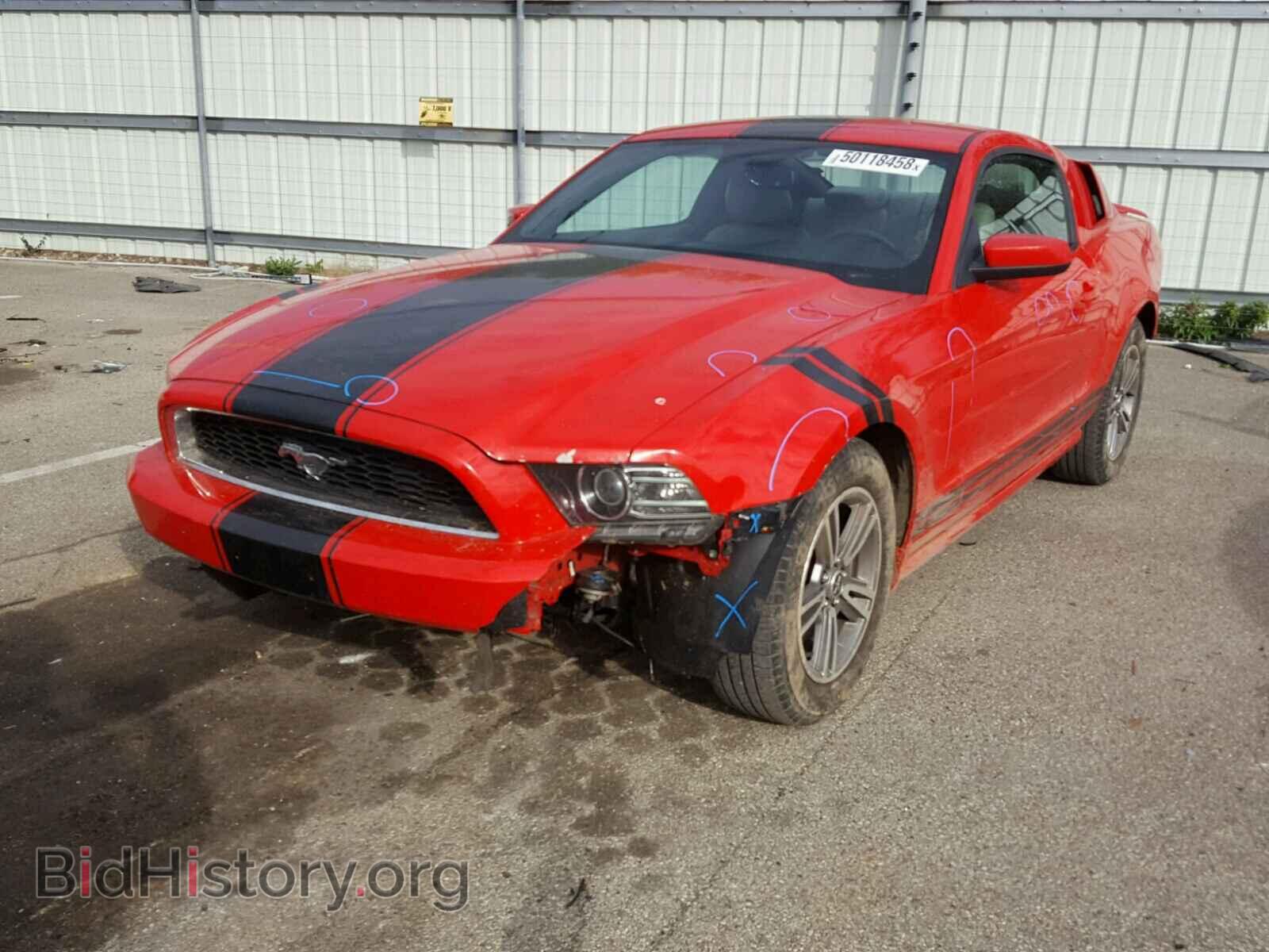 2013 FORD MUSTANG - VIN: 1ZVBP8AM8D5239659 - Фото 2
