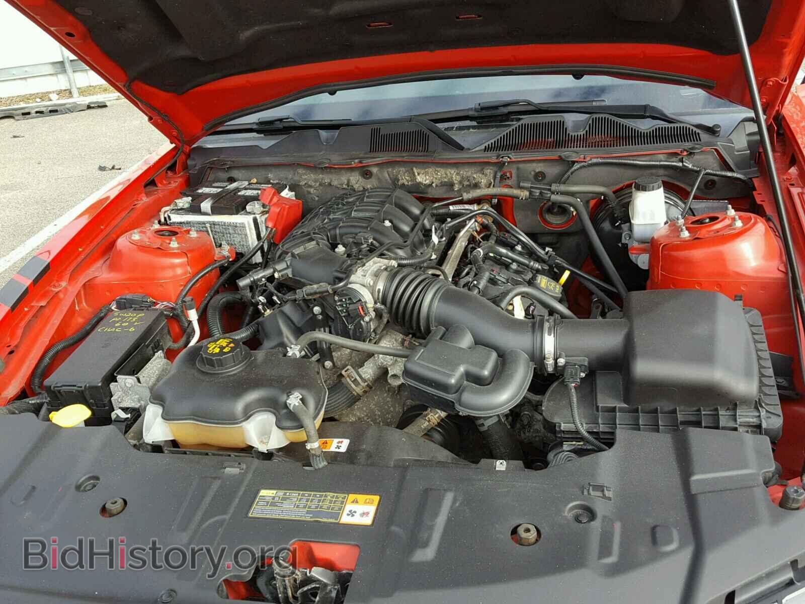 2013 FORD MUSTANG - VIN: 1ZVBP8AM8D5239659 - Фото 7
