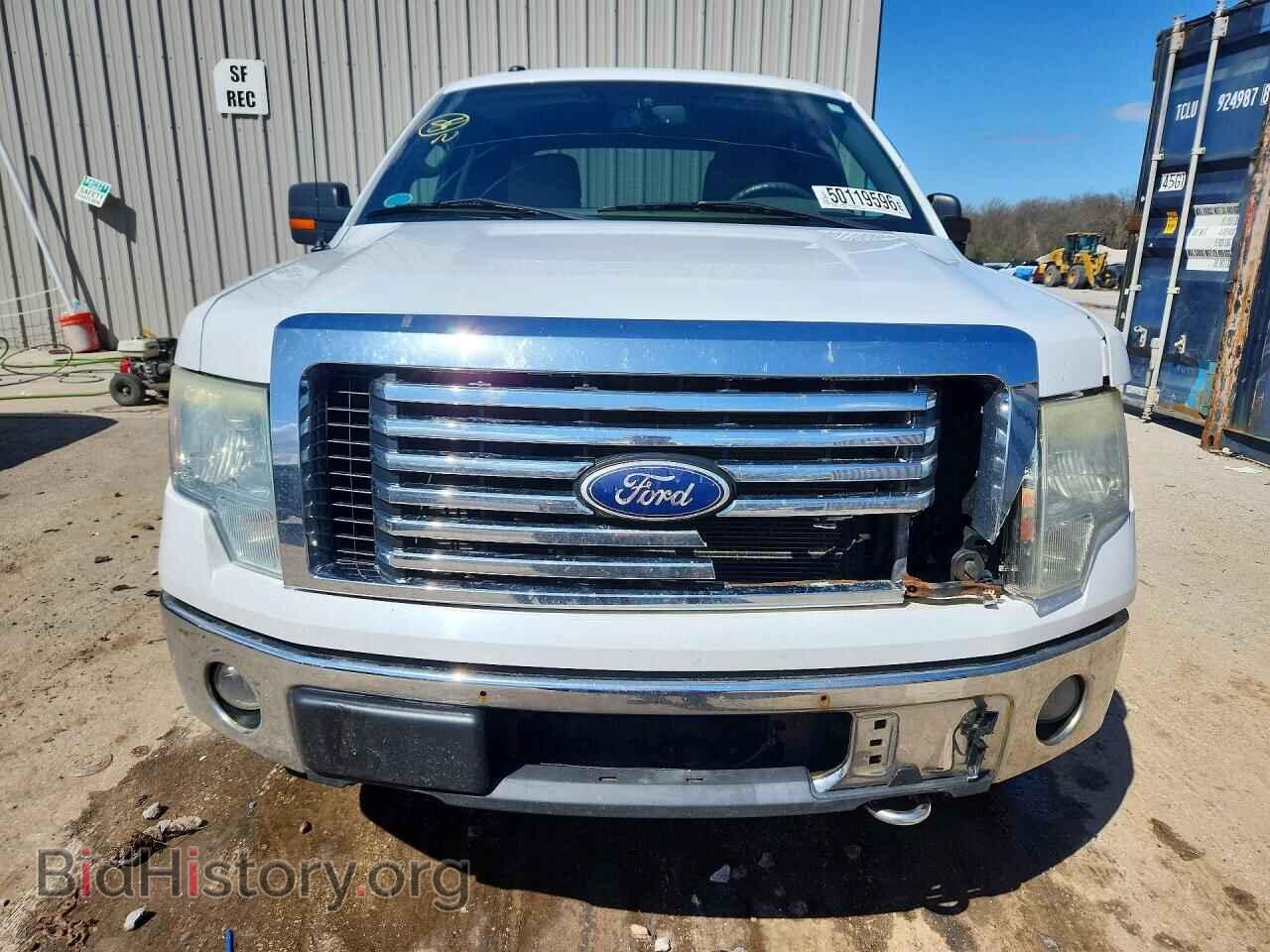 2010 FORD F150 - VIN: 1FTFW1EV4AFA41359 - Фото 5