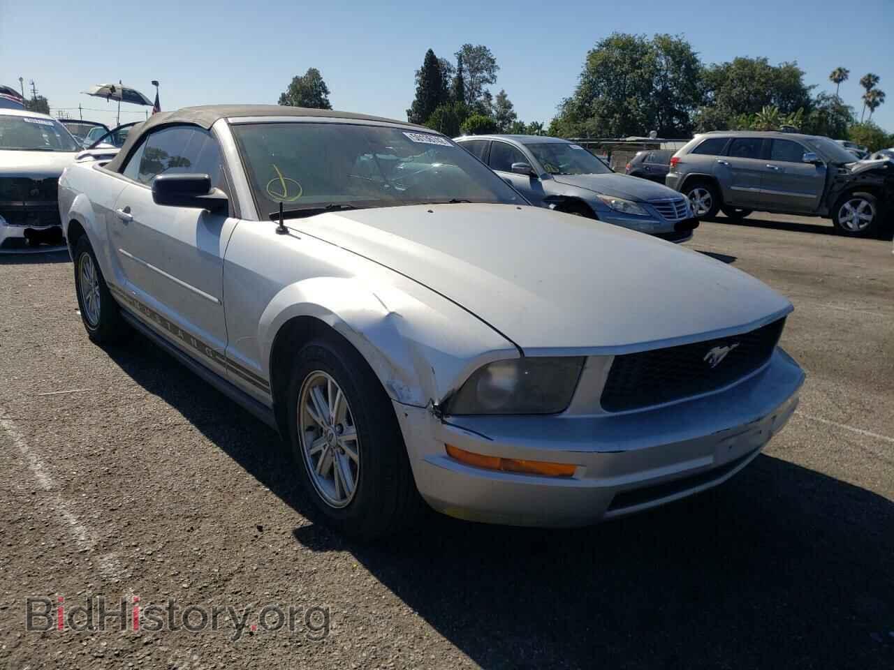 Фотография 1ZVFT84N465189959 - FORD MUSTANG 2006