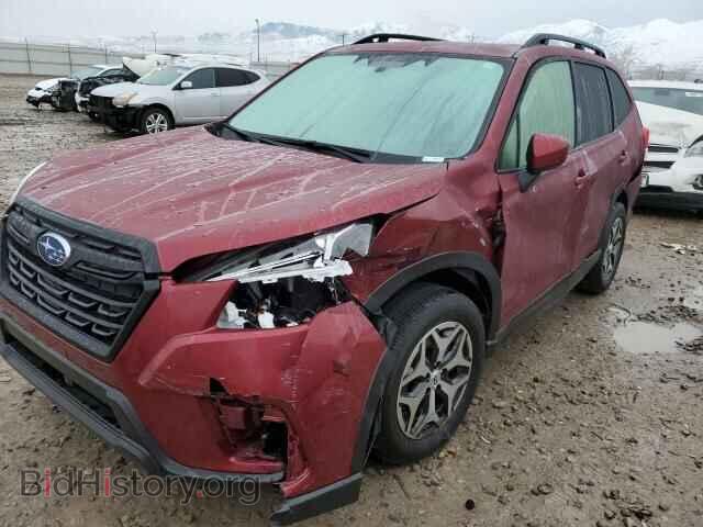 Фотография JF2SKAECXPH444155 - SUBARU FORESTER 2023