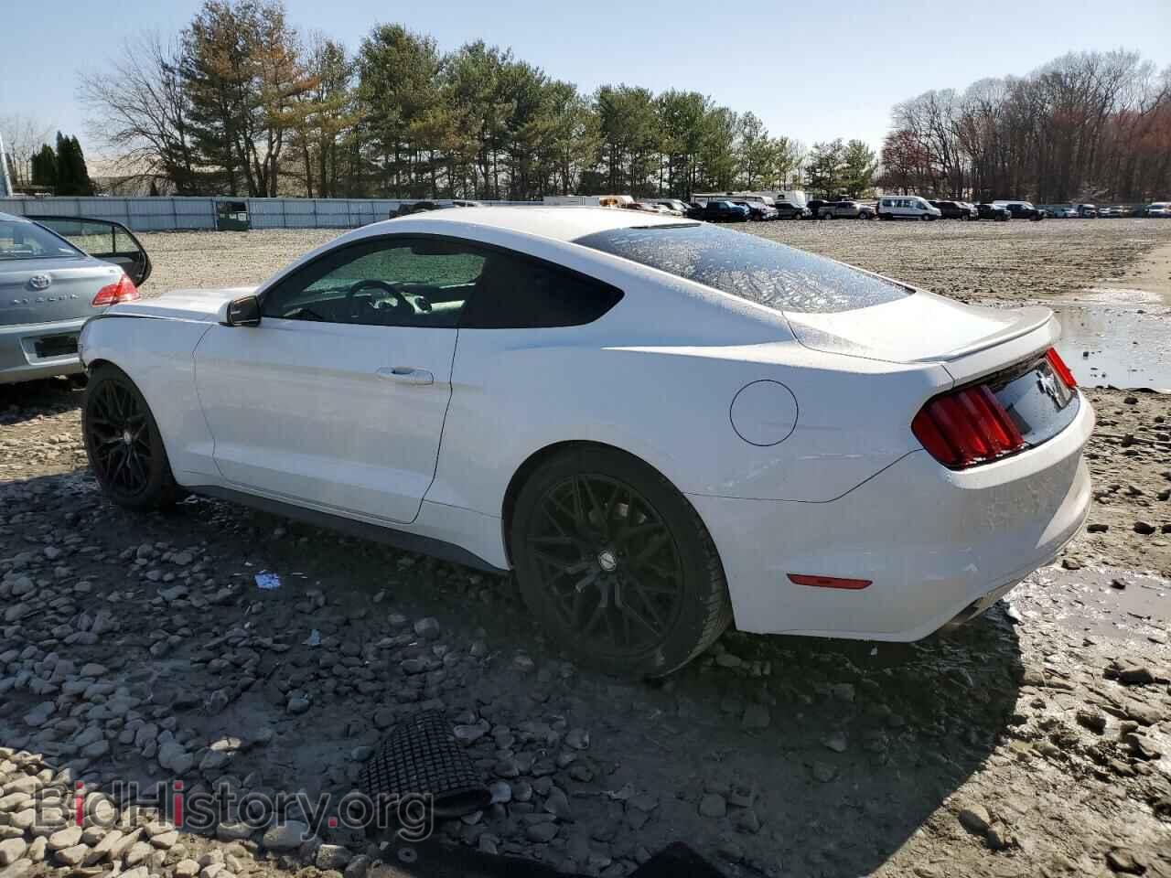 2015 FORD ALL Models - VIN: 1FA6P8AM5F5396904 - Photo 2