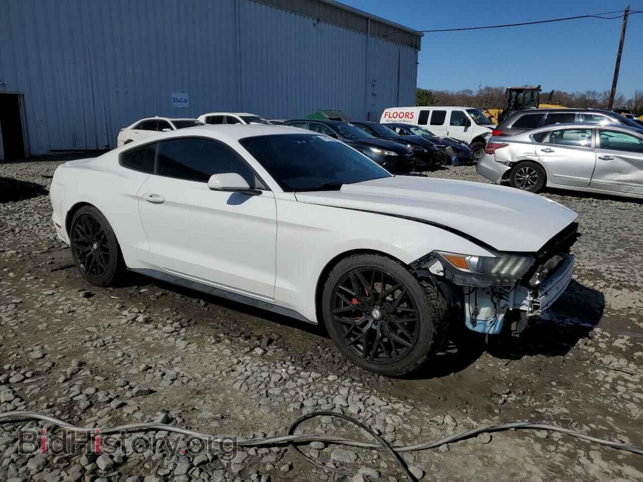2015 FORD ALL Models - VIN: 1FA6P8AM5F5396904 - Photo 4