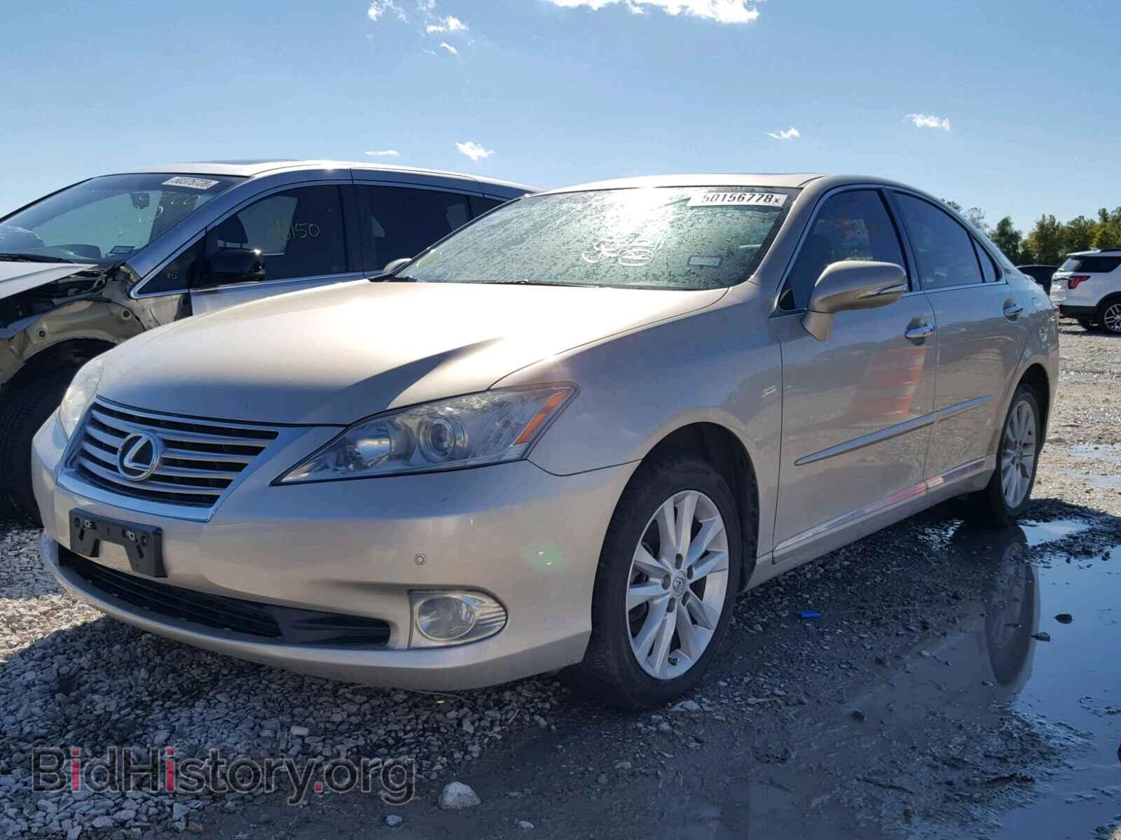 2011 LEXUS ES350 - VIN: JTHBK1EG1B2421567 - Фото 2