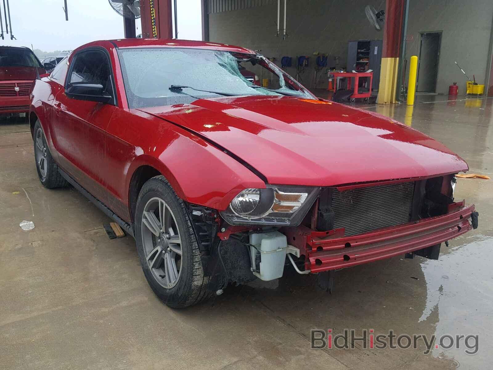 Photo 1ZVBP8AM6C5226648 - FORD MUSTANG 2012