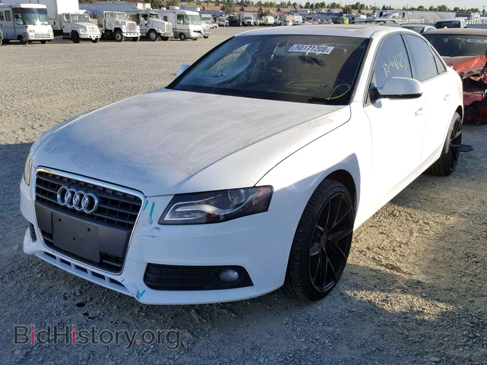 2010 AUDI A4 - VIN: WAUEFAFL2AN017668 - Фото 2