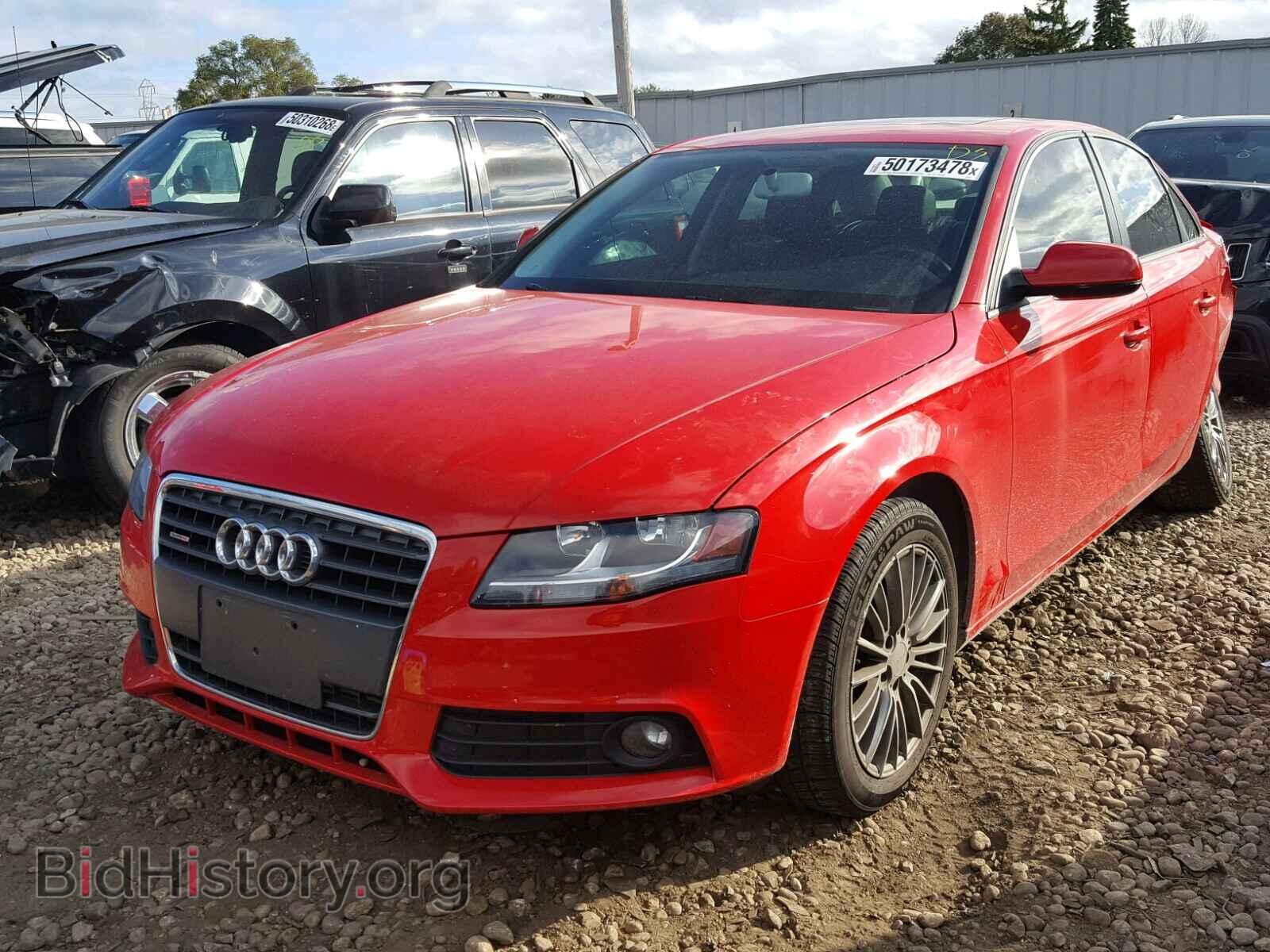 2011 AUDI A4 - VIN: WAUBFAFL6BN034302 - Фото 2