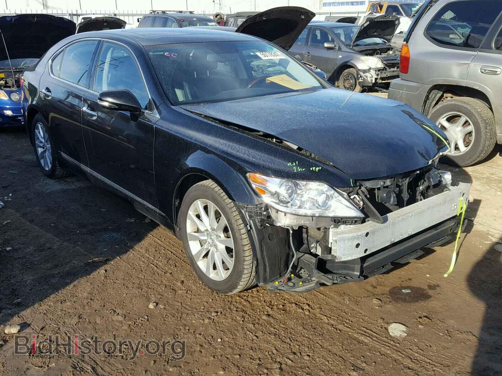 Photo JTHCL5EF3B5010279 - LEXUS LS460 2011