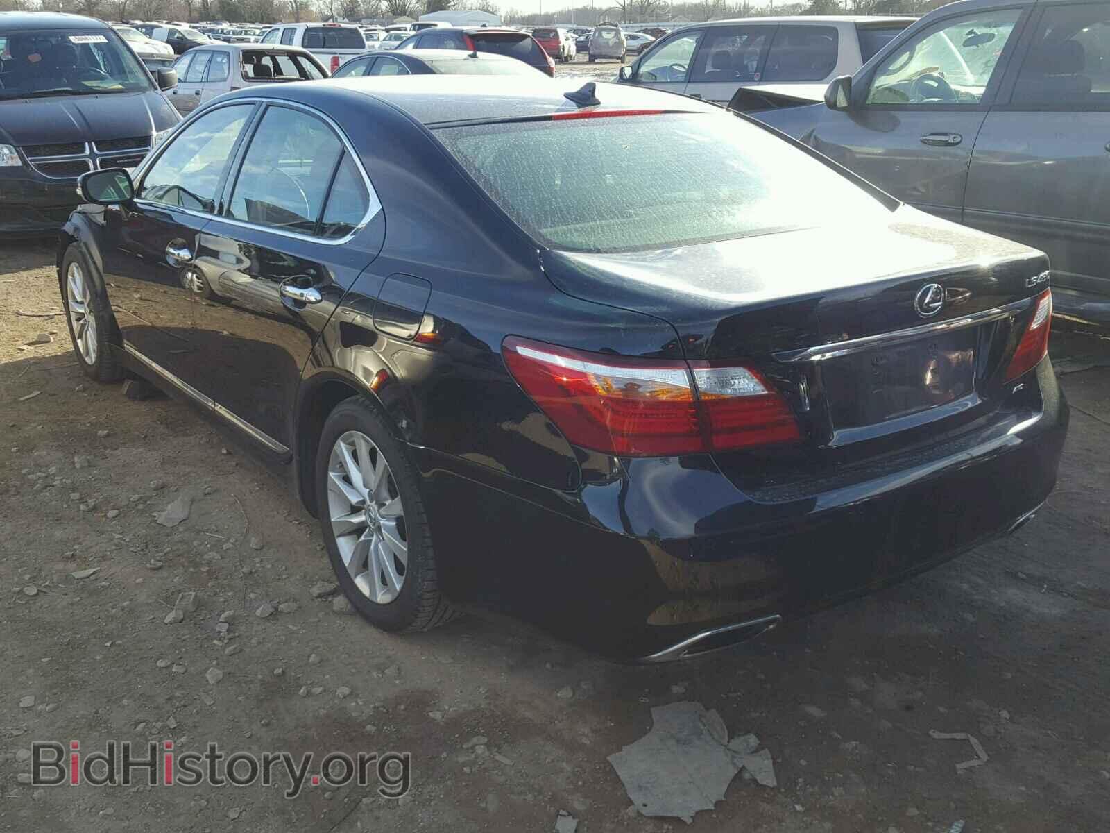 2011 LEXUS LS460 - VIN: JTHCL5EF3B5010279 - Фото 3