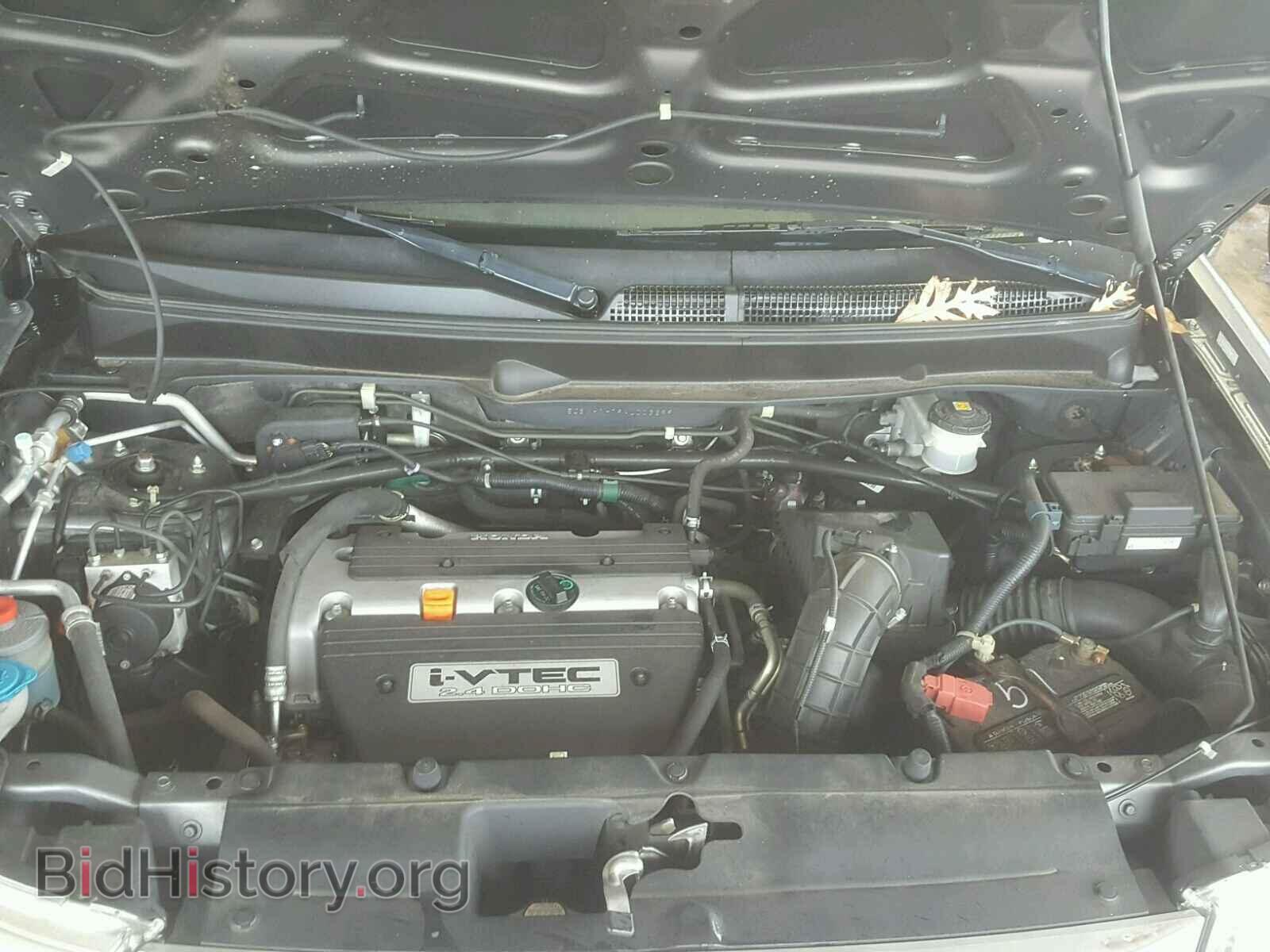 2010 HONDA ELEMENT - VIN: 5J6YH1H79AL003699 - Фото 7