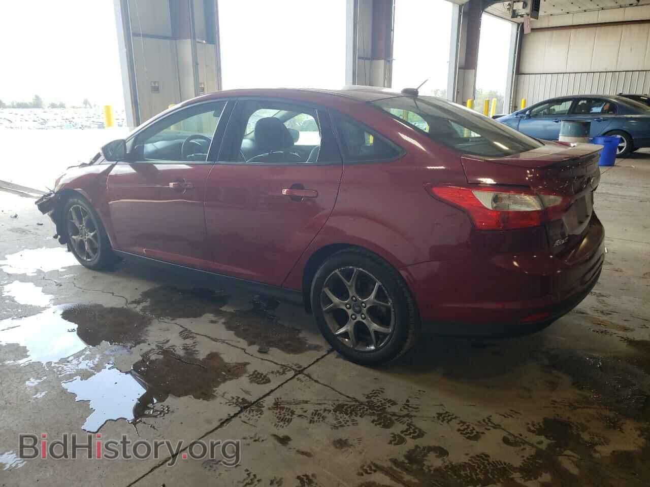 2013 FORD FOCUS - VIN: 1FADP3F21DL103705 - Фото 2