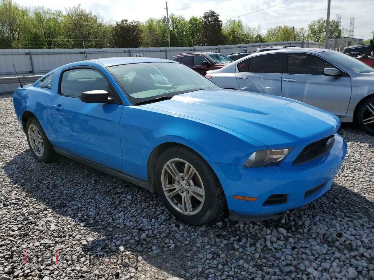 2010 FORD ALL Models - VIN: 1ZVBP8AN6A5163427 - Фото 4