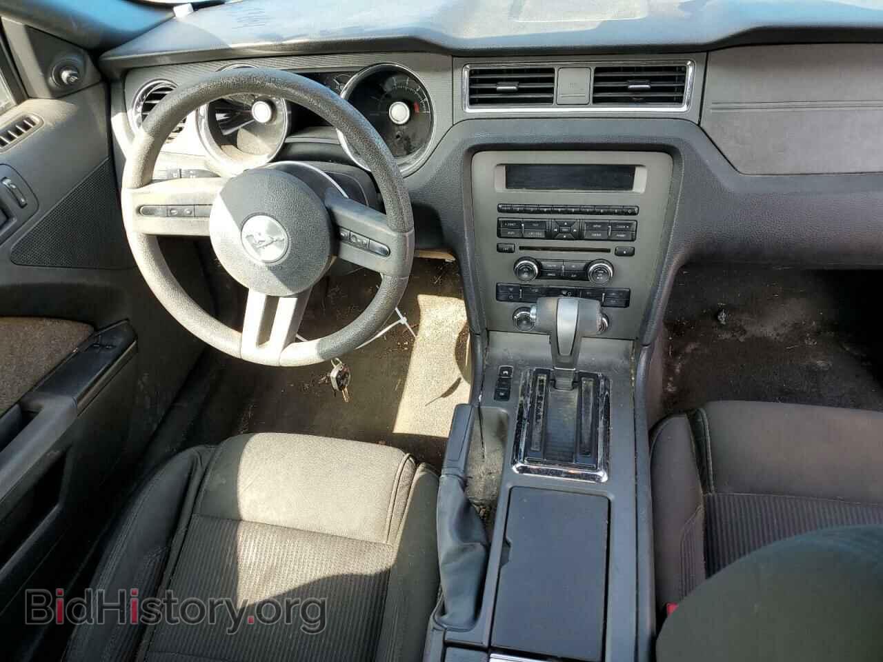 2010 FORD ALL Models - VIN: 1ZVBP8AN6A5163427 - Фото 8
