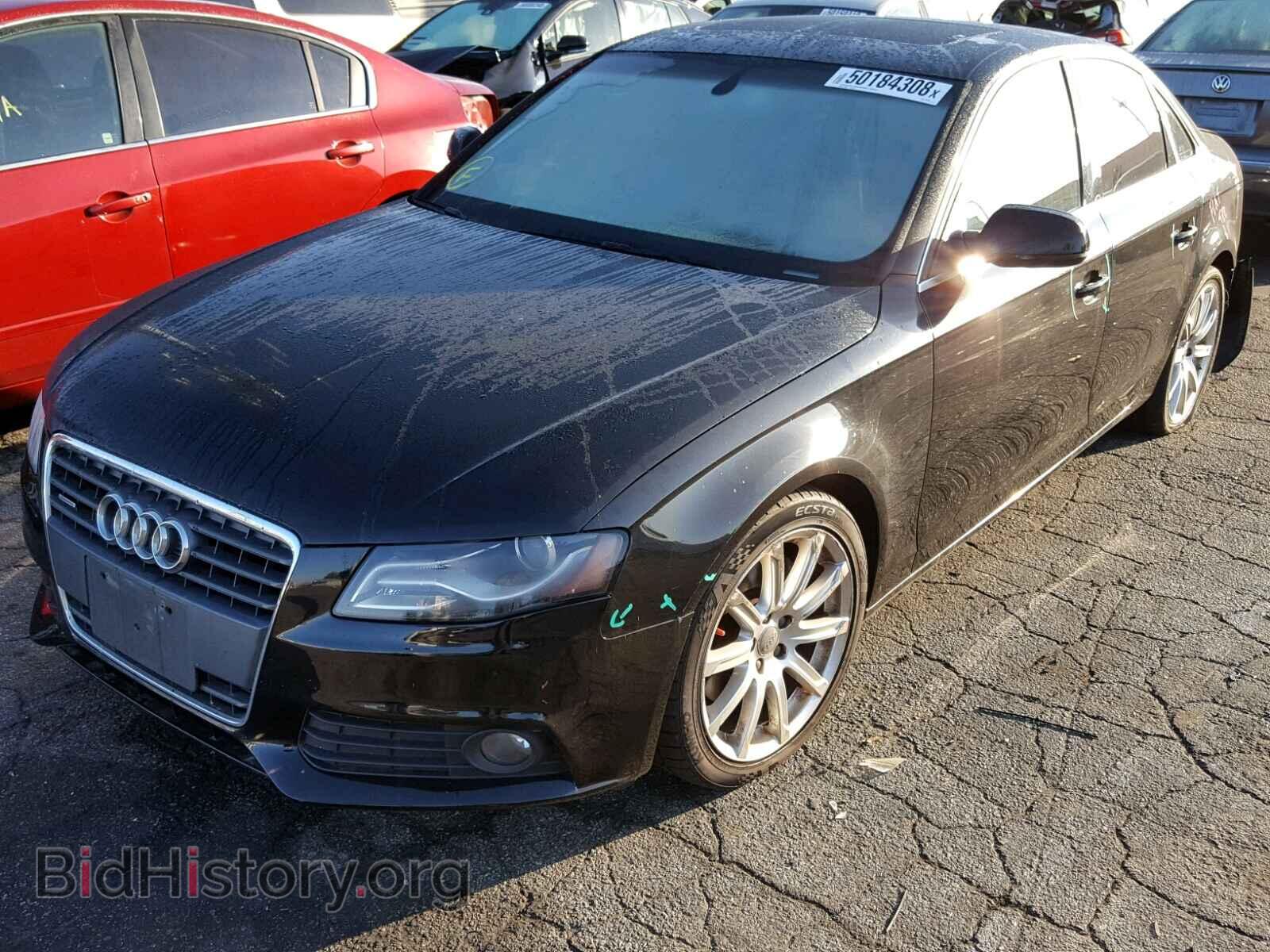 2011 AUDI A4 - VIN: WAUFFAFLXBN004107 - Фото 2