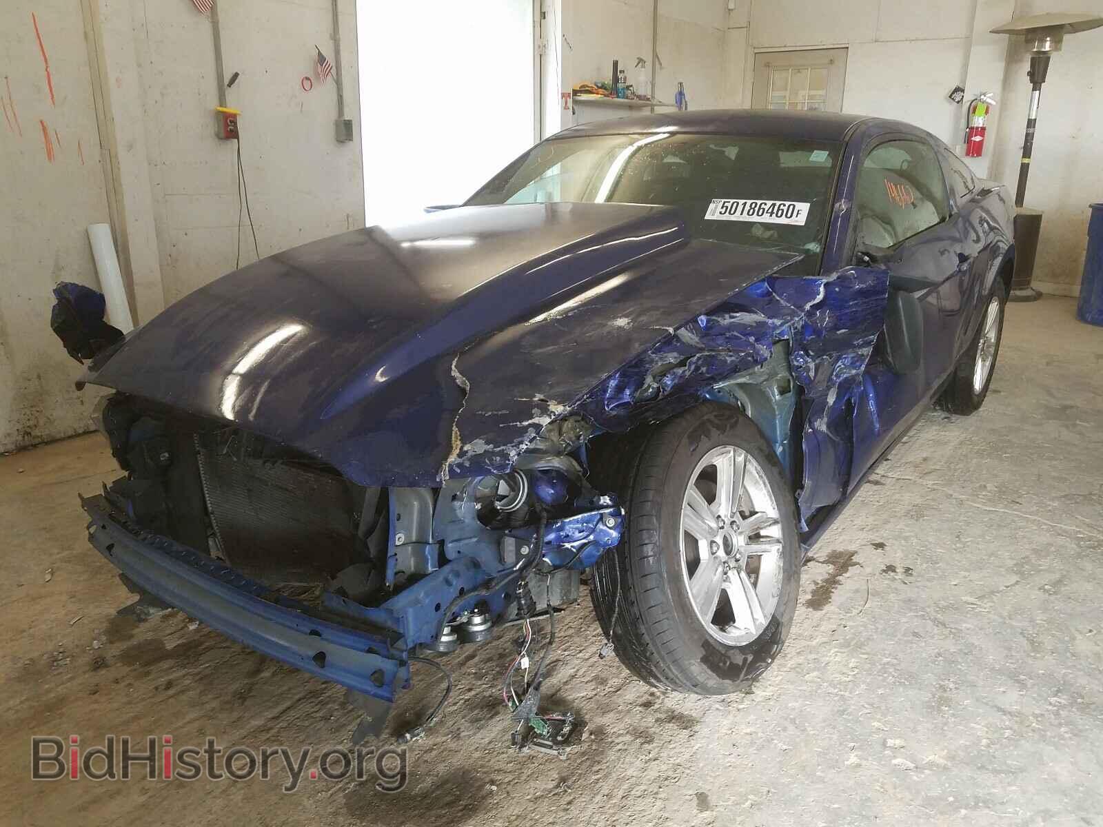 2014 FORD MUSTANG - VIN: 1ZVBP8AM2E5255969 - Фото 2
