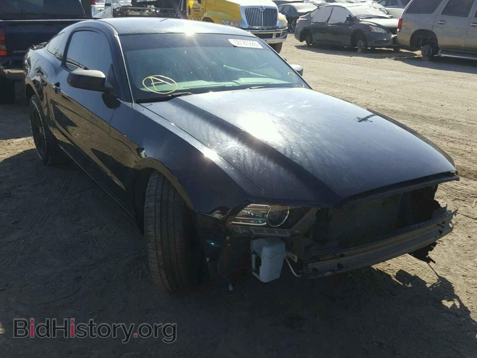 Photo 1ZVBP8AM7E5301828 - FORD MUSTANG 2014