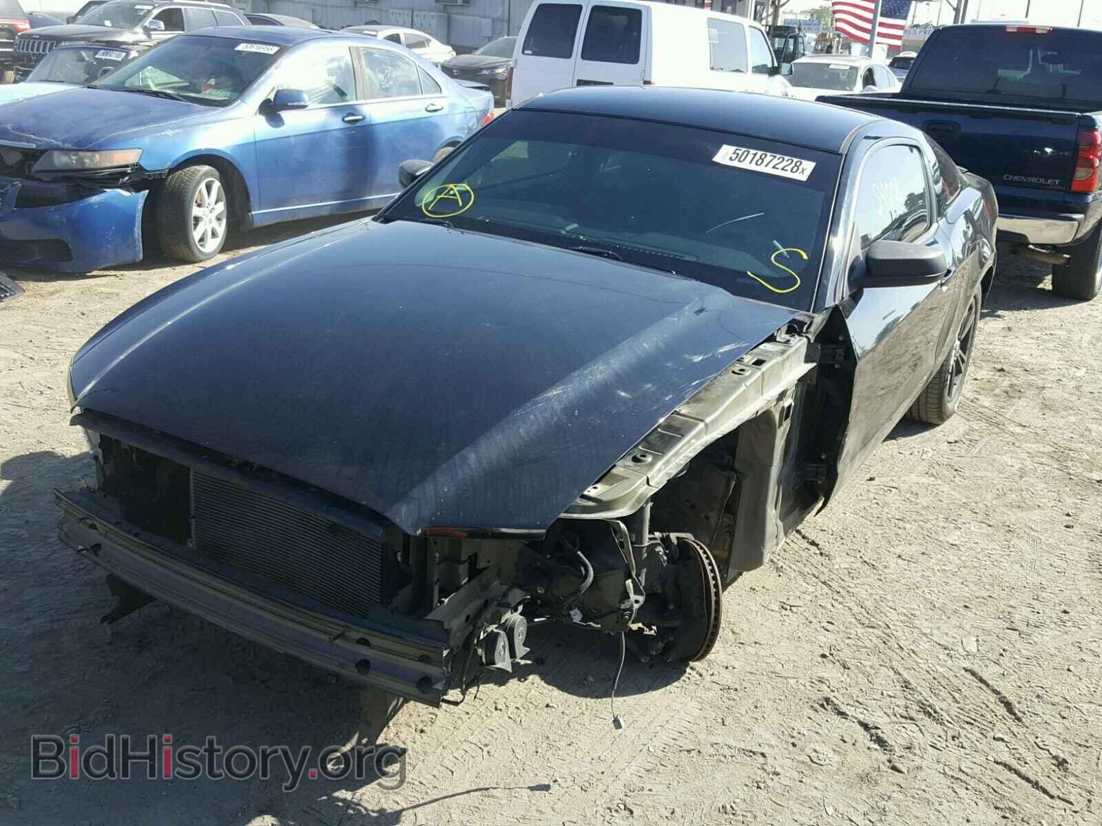 2014 FORD MUSTANG - VIN: 1ZVBP8AM7E5301828 - Фото 2