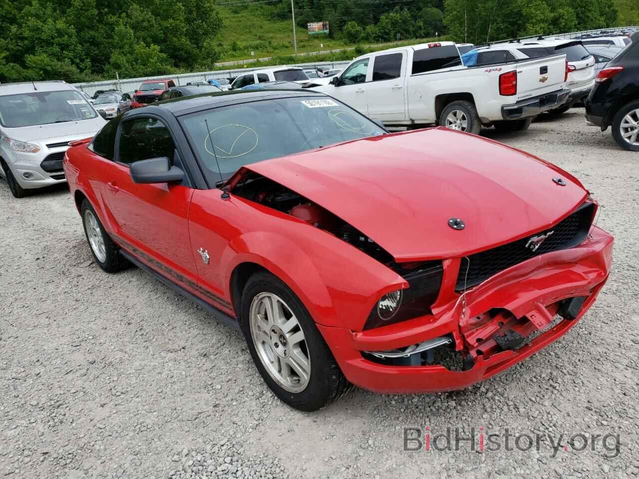 Photo 1ZVHT80N195113179 - FORD MUSTANG 2009