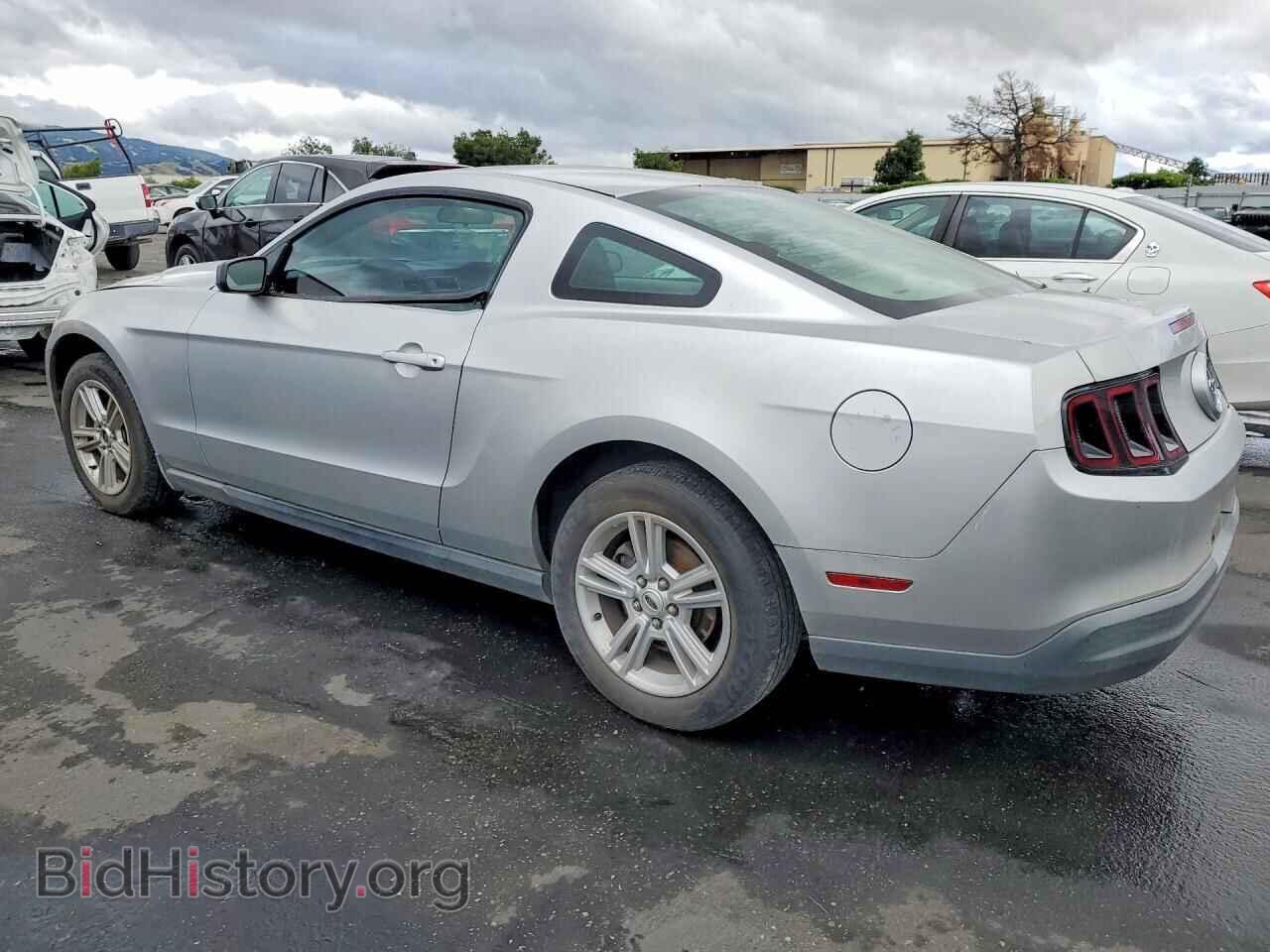 2010 FORD MUSTANG - VIN: 1ZVBP8AN5A5132038 - Фото 2