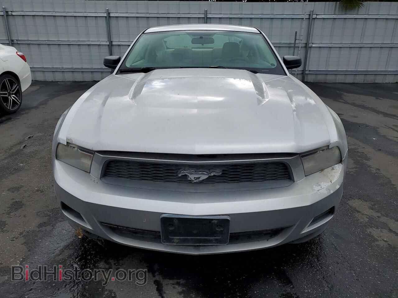 2010 FORD MUSTANG - VIN: 1ZVBP8AN5A5132038 - Фото 5