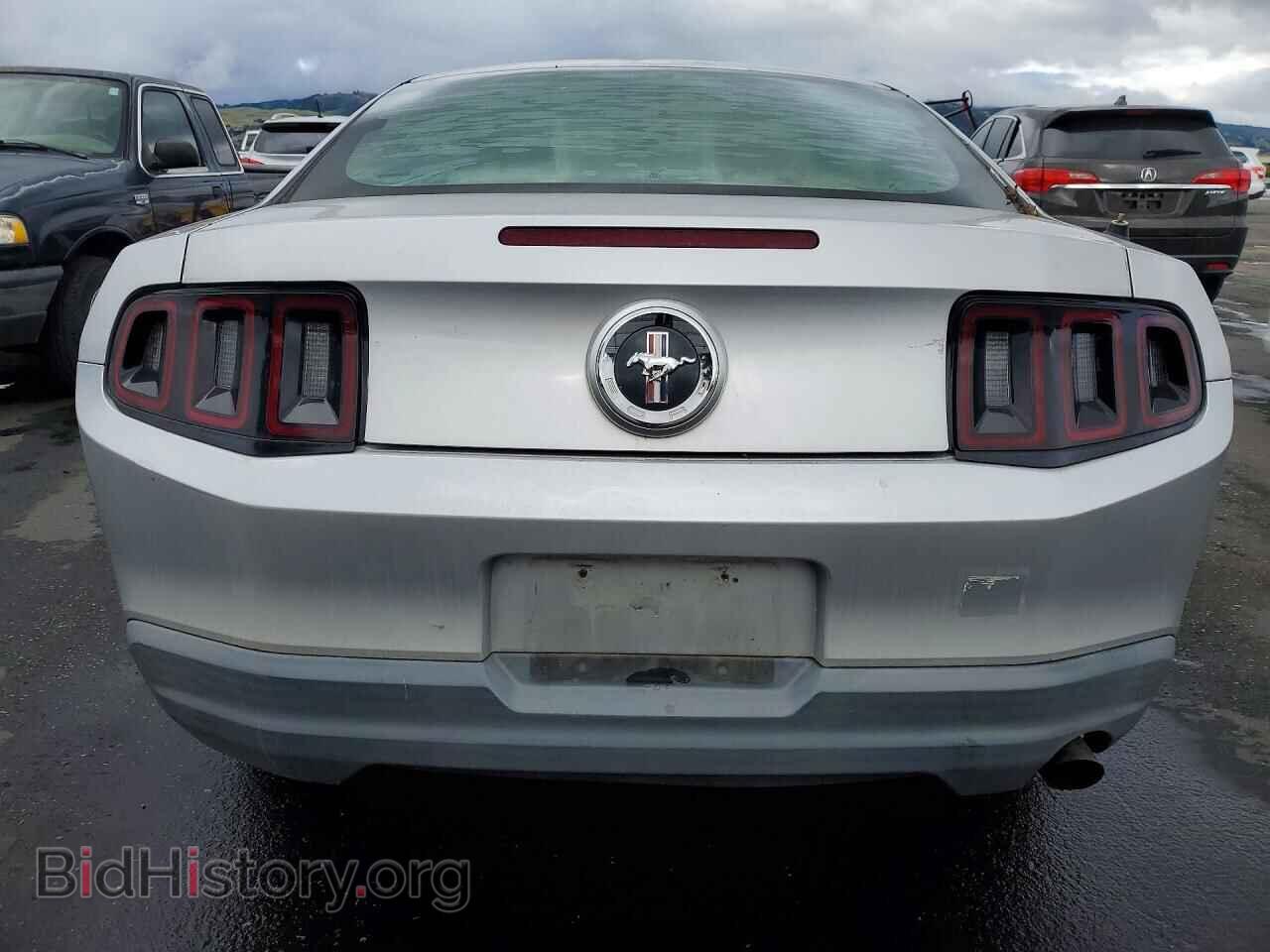2010 FORD MUSTANG - VIN: 1ZVBP8AN5A5132038 - Фото 6