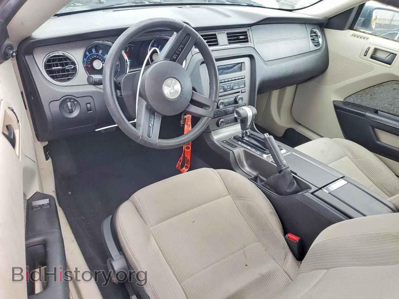 2010 FORD MUSTANG - VIN: 1ZVBP8AN5A5132038 - Фото 8