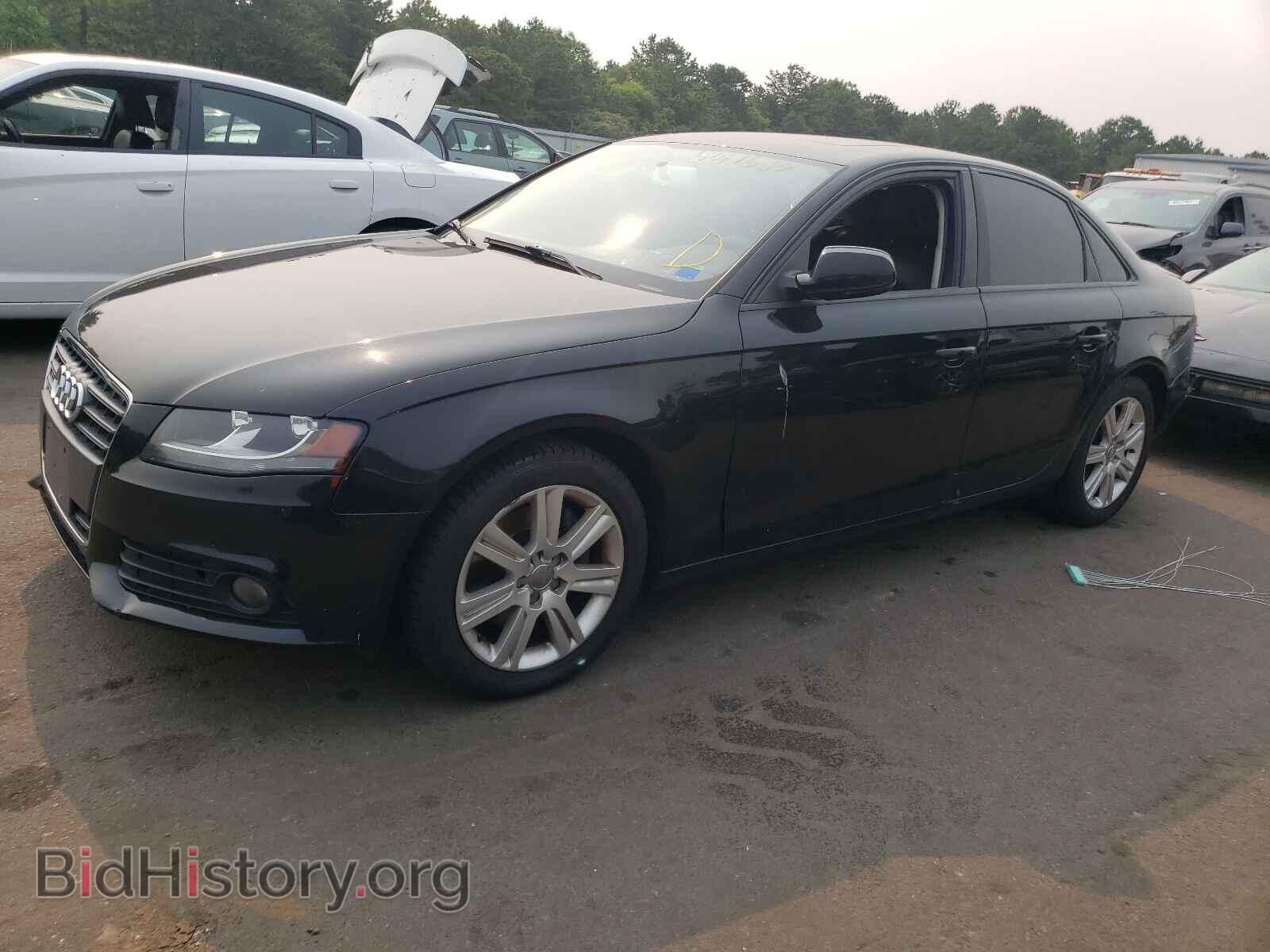 2011 AUDI A4 - VIN: WAUBFAFL8BN020305 - Фото 2