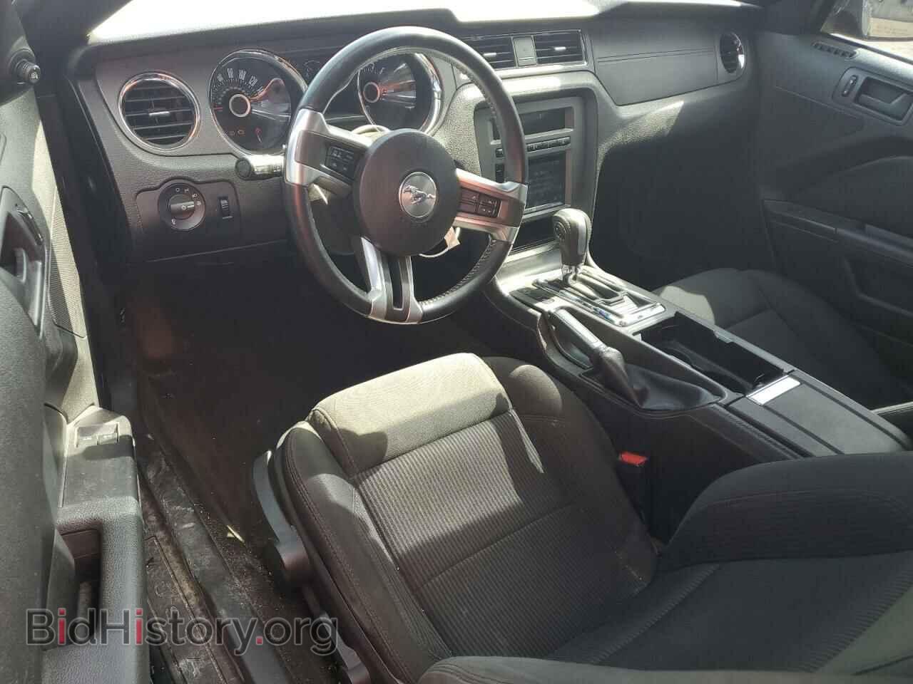 2013 FORD MUSTANG - VIN: 1ZVBP8CF1D5256169 - Фото 8