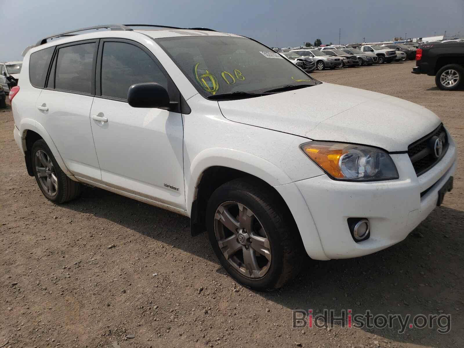 Фотография 2T3RK4DV9BW049405 - TOYOTA RAV4 2011