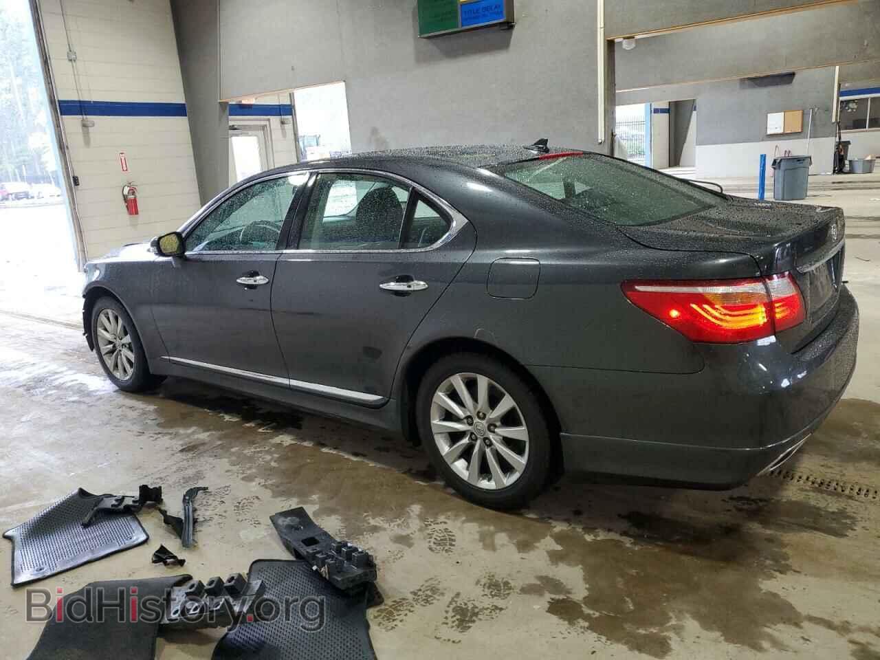 2011 LEXUS LS460 - VIN: JTHCL5EF4B5012011 - Photo 2