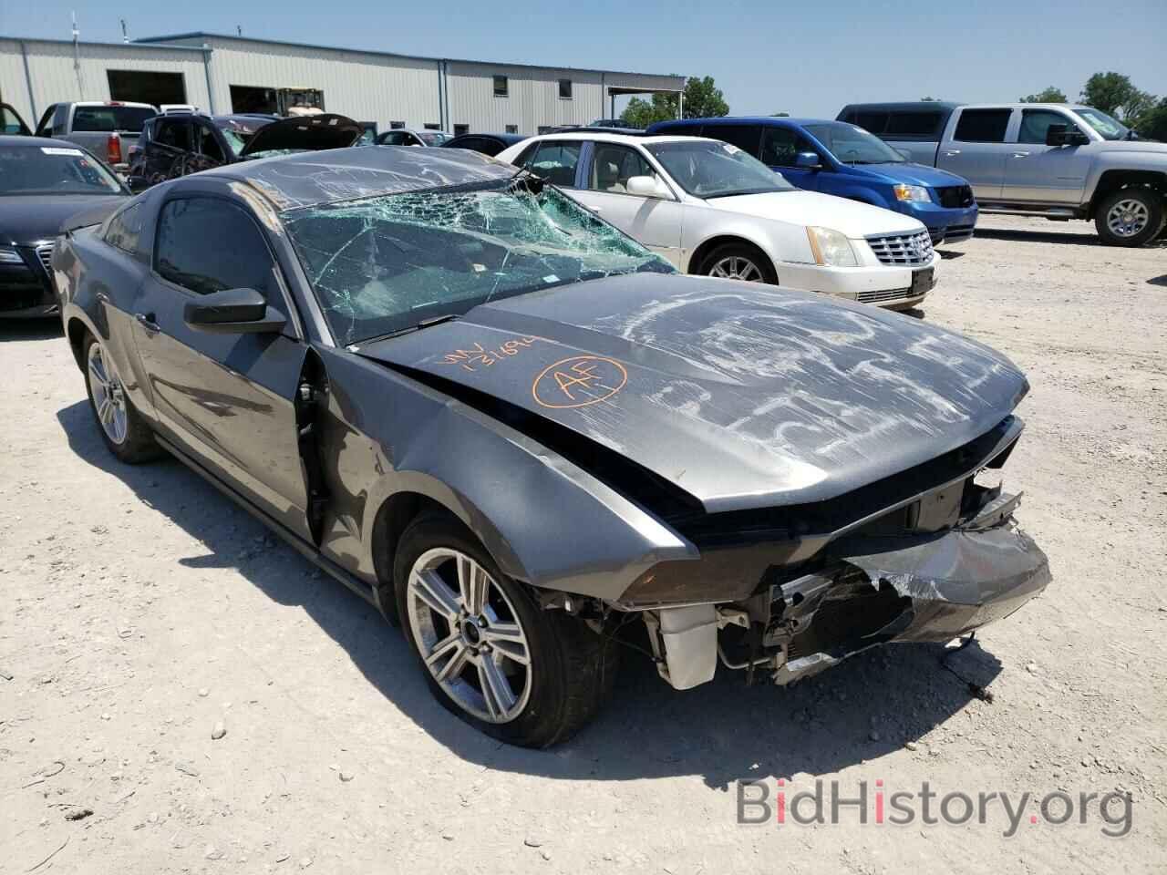 Photo 1ZVBP8AN1A5131694 - FORD MUSTANG 2010