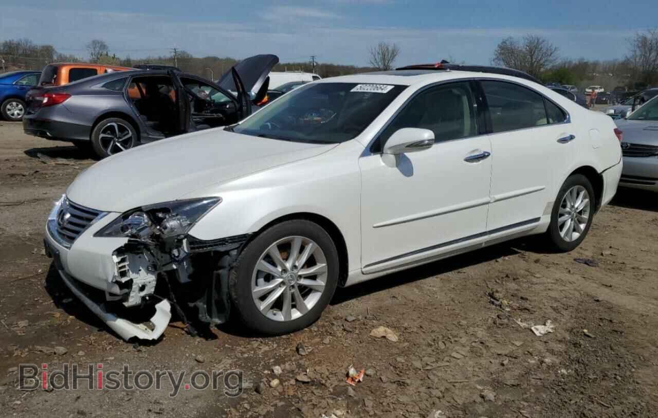 Фотография JTHBK1EG8B2429519 - LEXUS ES350 2011