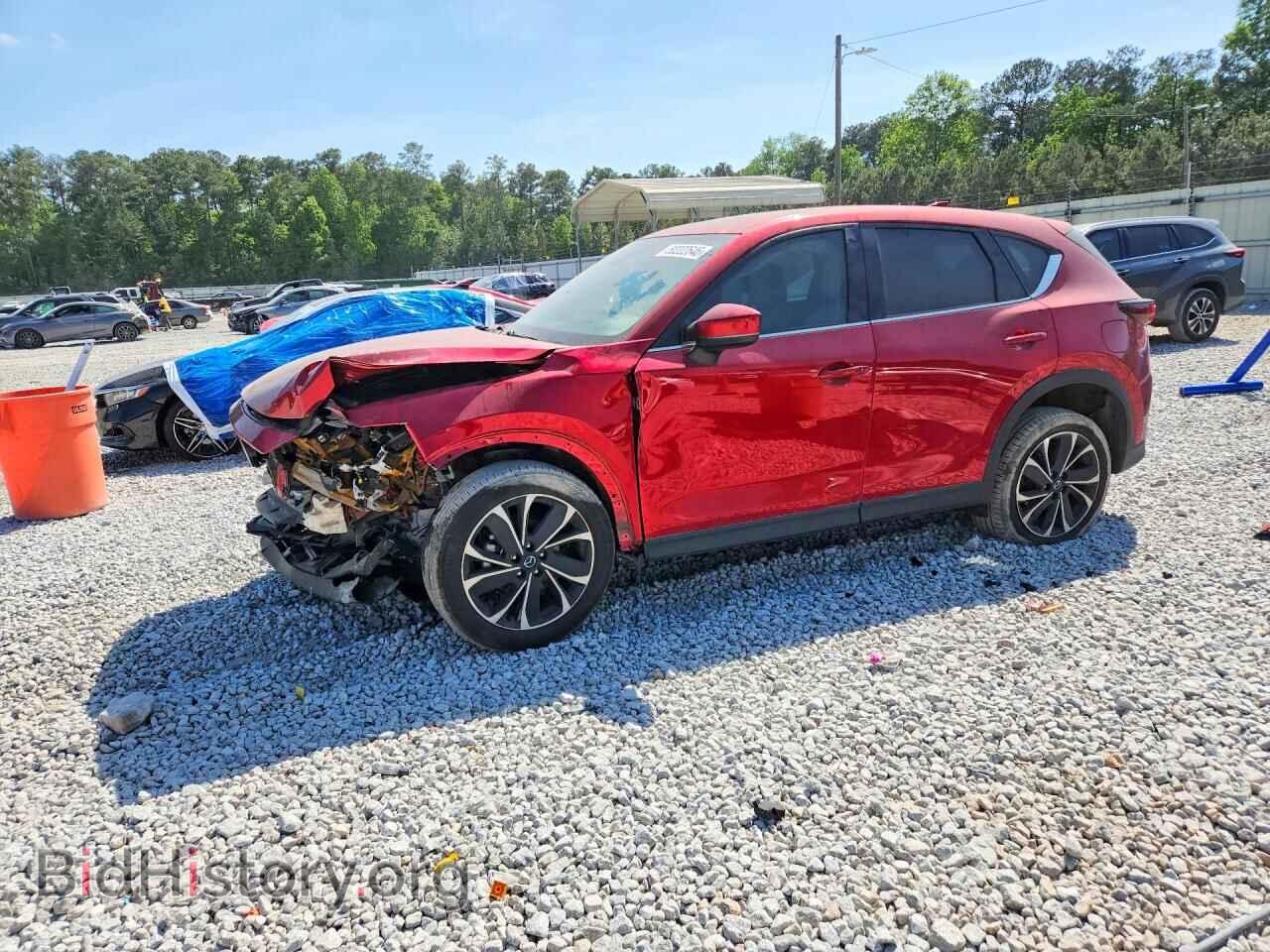Фотография JM3KFBEM4P0149530 - MAZDA CX-5 2023