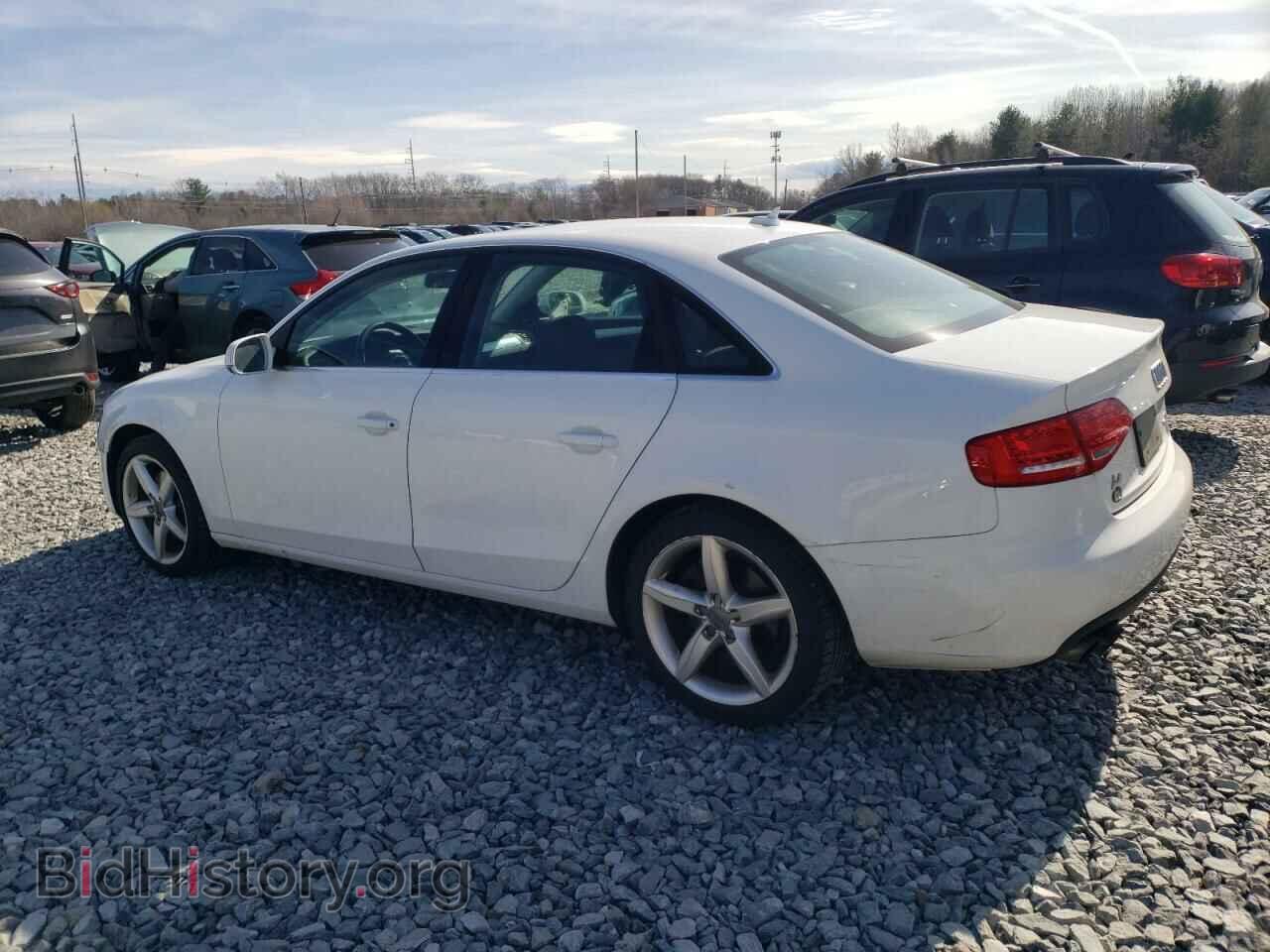 2010 AUDI A4 - VIN: WAUFFAFLXAN062085 - Фото 2