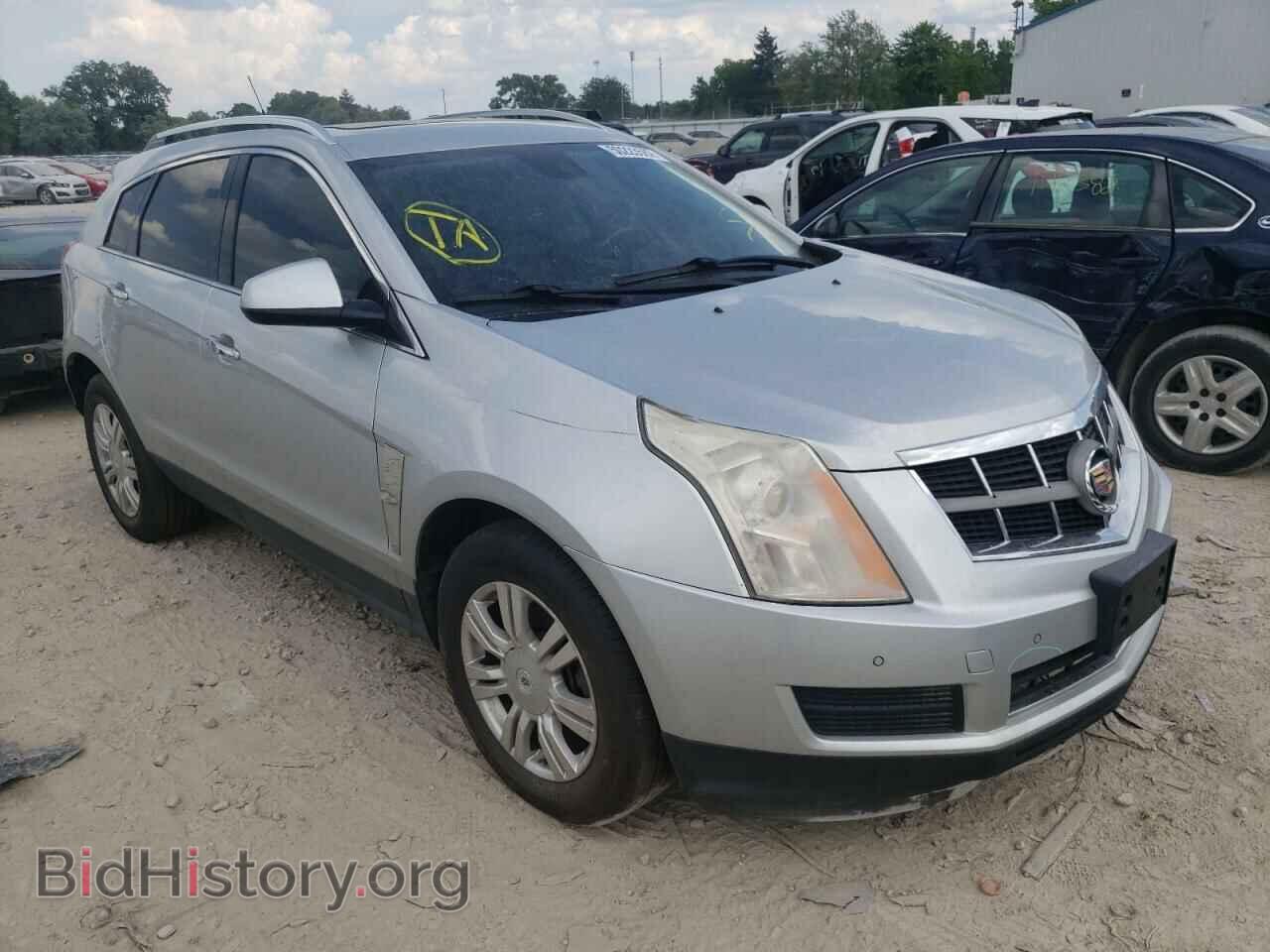 Фотография 3GYFNAEY3BS652620 - CADILLAC SRX 2011