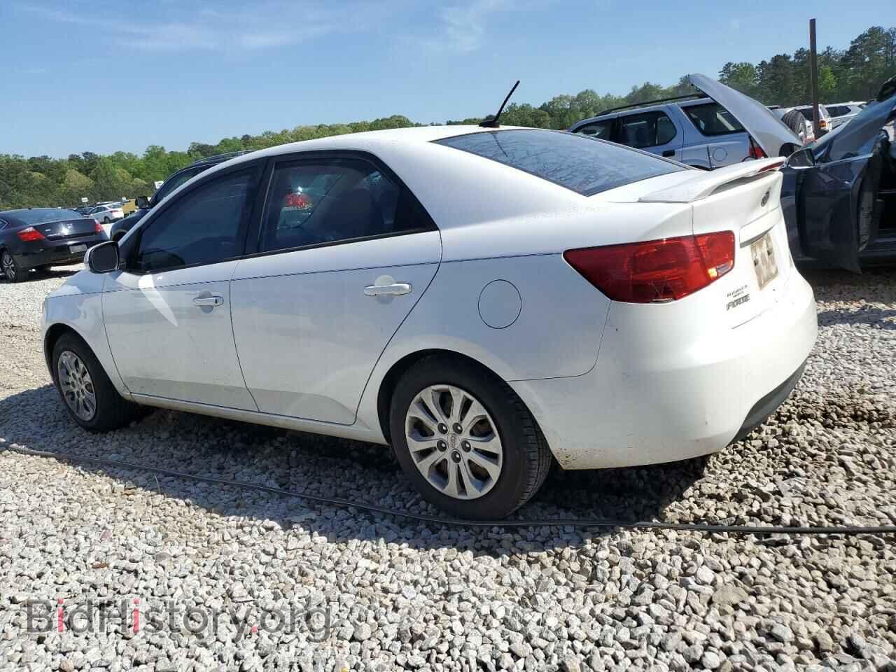 2012 KIA FORTE - VIN: KNAFU4A29C5556804 - Фото 2