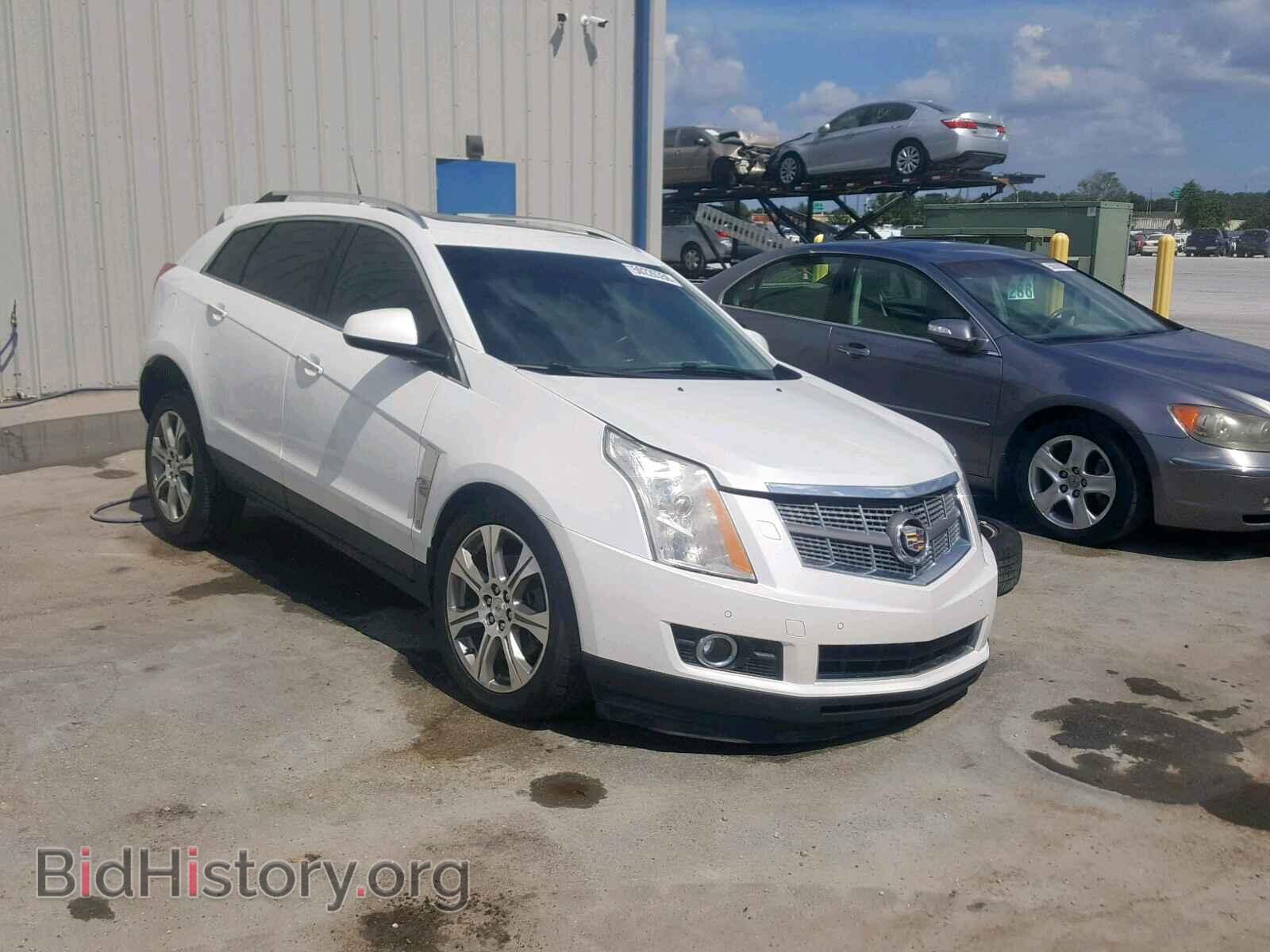 Фотография 3GYFNBE36CS518843 - CADILLAC SRX PERFOR 2012