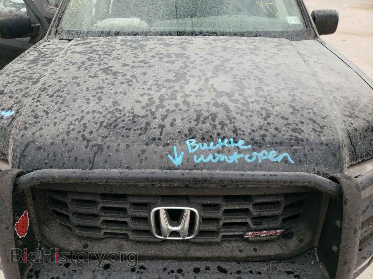 2013 HONDA RIDGELINE - VIN: 5FPYK1F73DB012424 - Фото 7