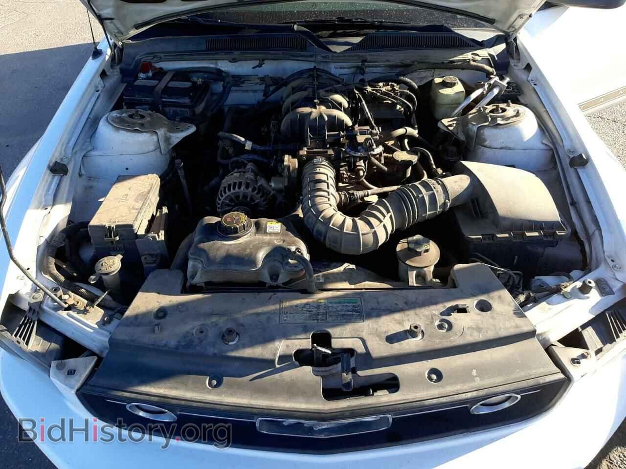 2006 FORD MUSTANG - VIN: 1ZVFT80N165224415 - Фото 7