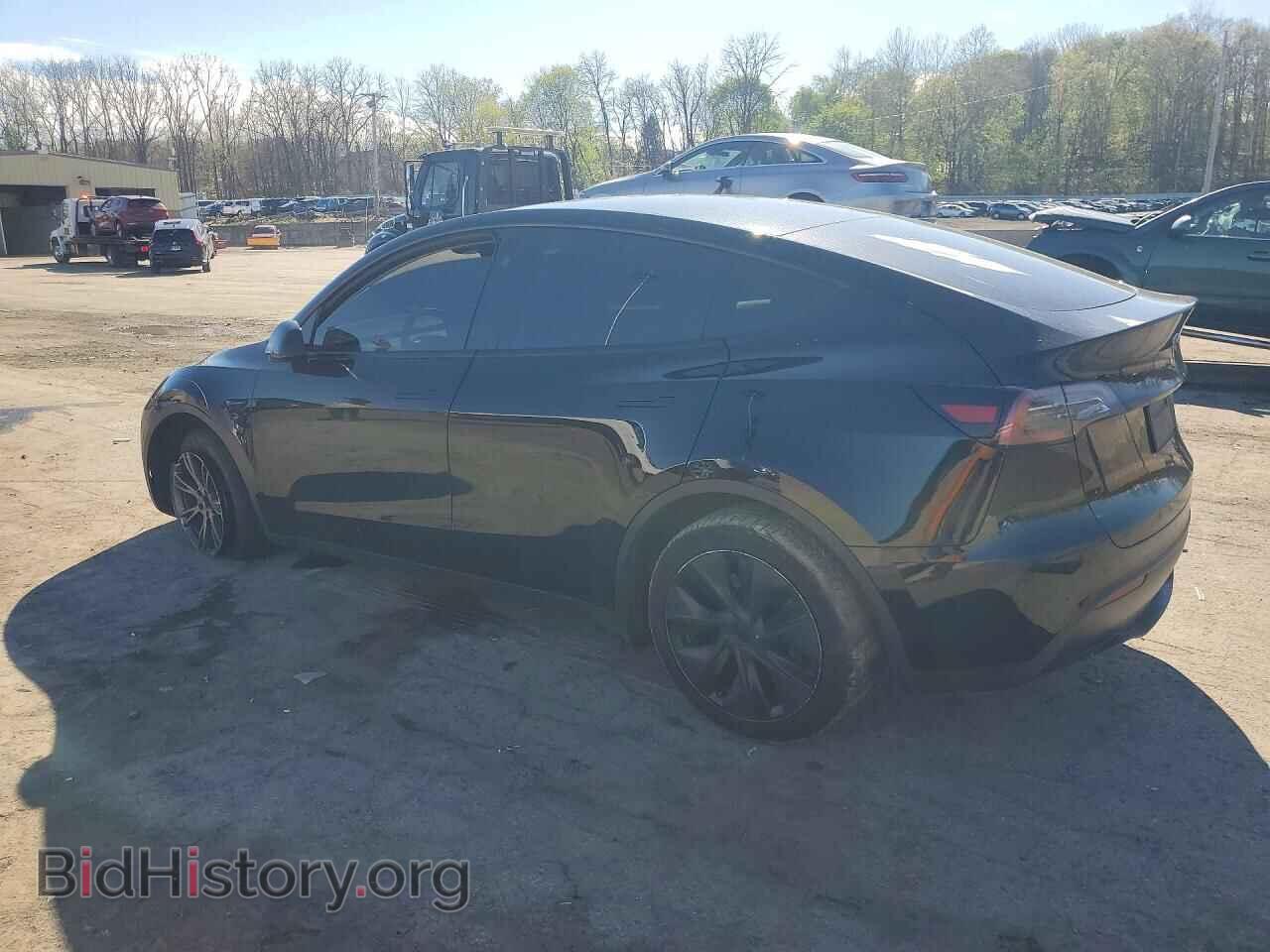 2024 TESLA MODEL Y - VIN: 7SAYGDEE1RF183243 - Фото 2