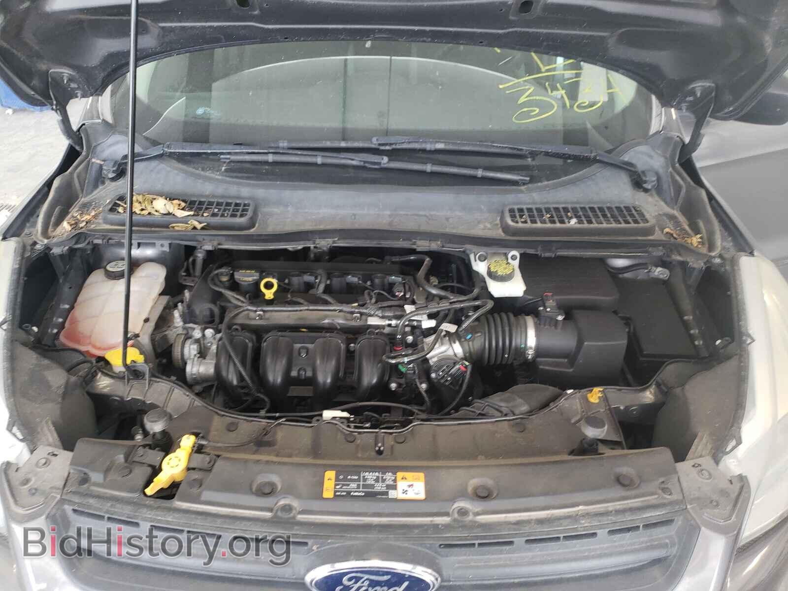 2013 FORD ESCAPE - VIN: 1FMCU0F71DUA93434 - Photo 7