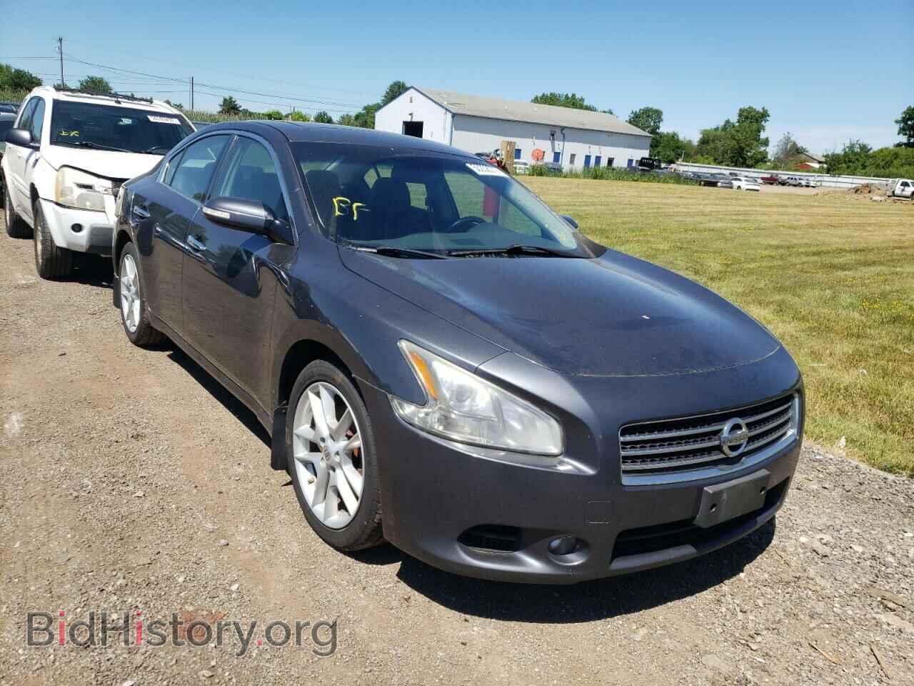 Photo 1N4AA5AP8AC842715 - NISSAN MAXIMA 2010