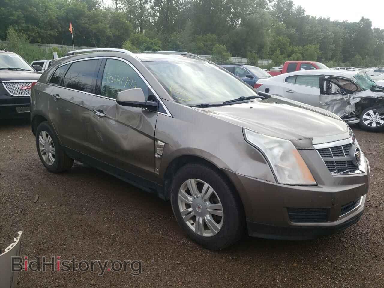 Фотография 3GYFNDE37CS561373 - CADILLAC SRX 2012