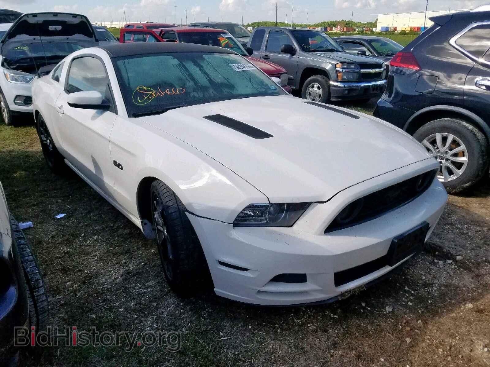 Photo 1ZVBP8CF2D5213444 - FORD MUSTANG GT 2013