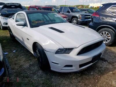 2013 Ford MUSTANG GT, белый — VIN 1ZVBP8CF2D5213444, Copart