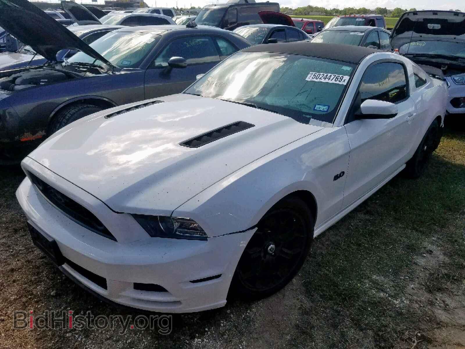 2013 FORD MUSTANG GT - VIN: 1ZVBP8CF2D5213444 - Фото 2