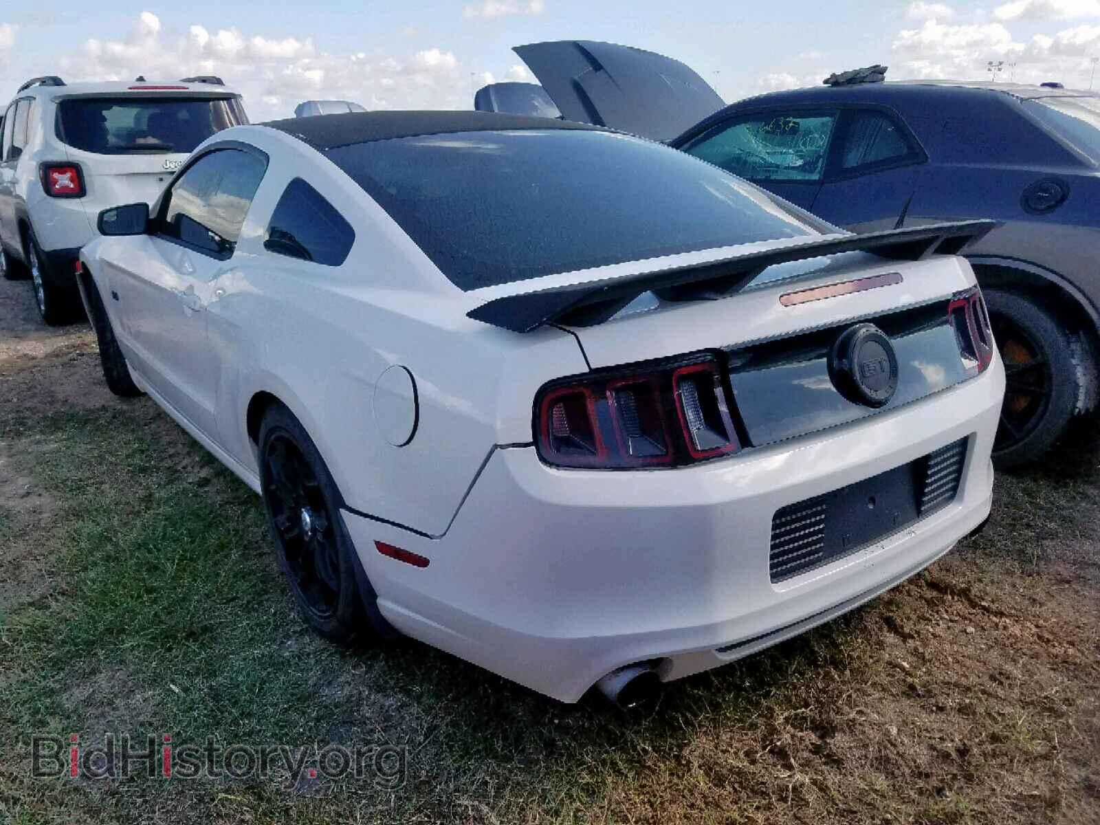 2013 FORD MUSTANG GT - VIN: 1ZVBP8CF2D5213444 - Фото 3