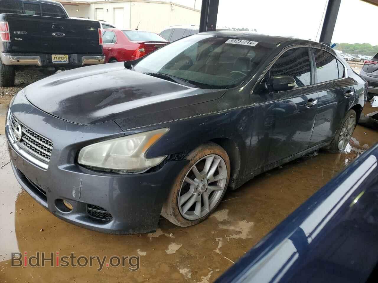 Фотография 1N4AA5AP4AC804947 - NISSAN MAXIMA 2010