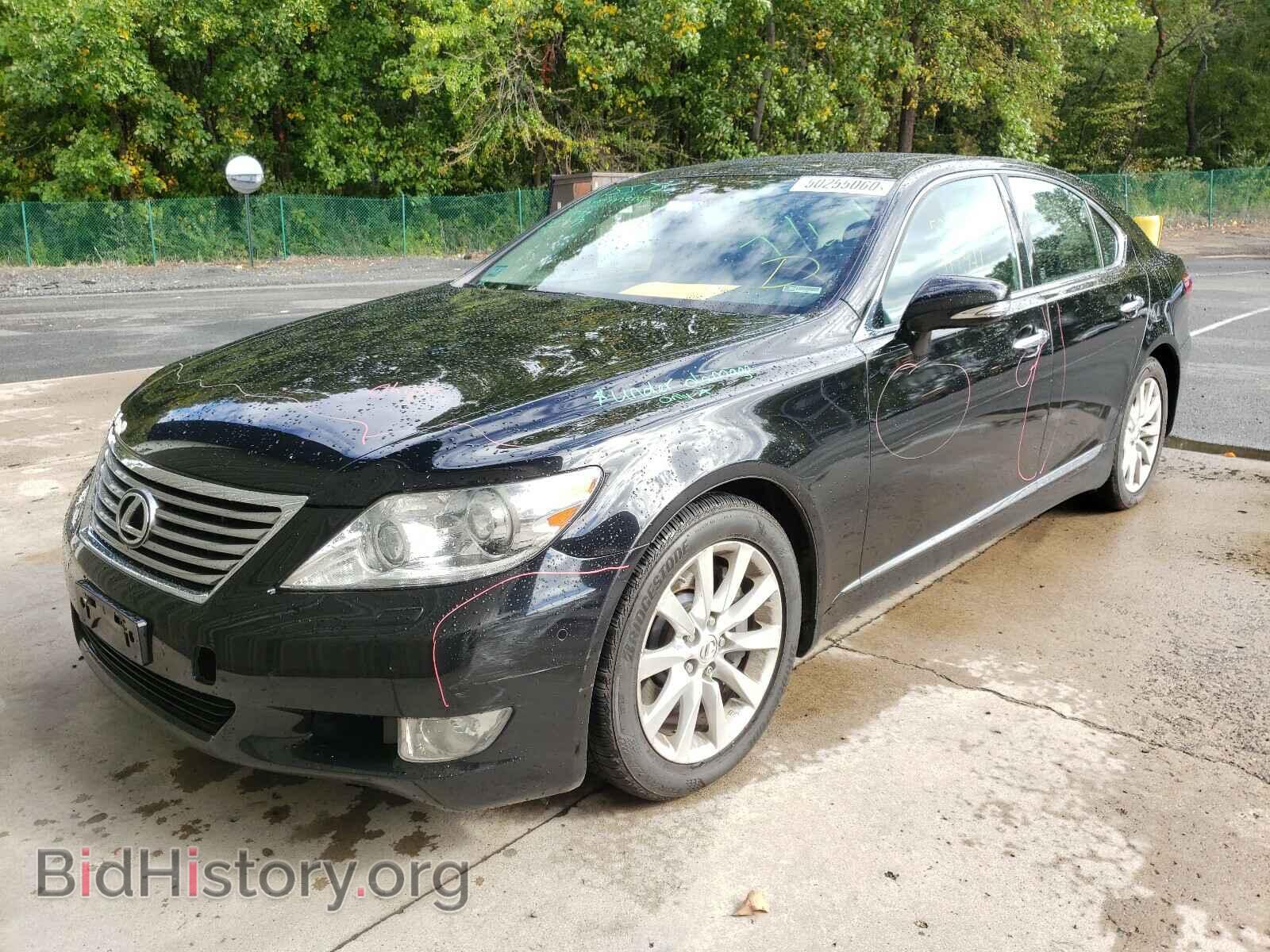 2011 LEXUS LS460 - VIN: JTHCL5EF8B5009872 - Фото 2