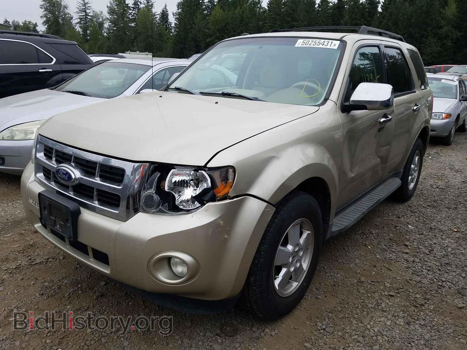 2011 FORD ESCAPE - VIN: 1FMCU0D74BKA41646 - Фото 2